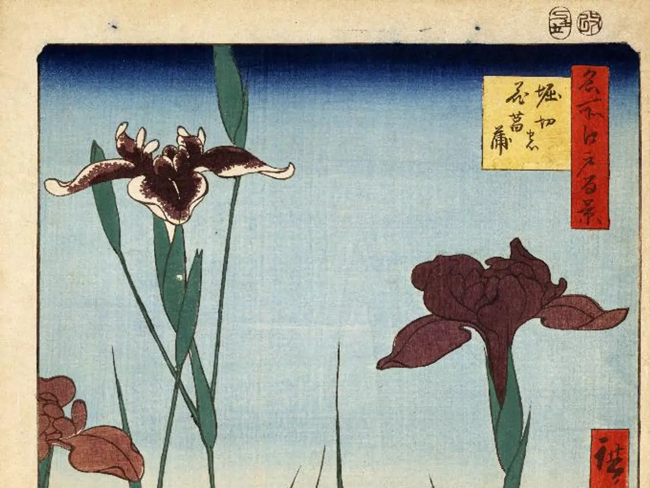 Top 9 Wildflower ID Cards Igniting a Pure Marvel at Nature's Beauty