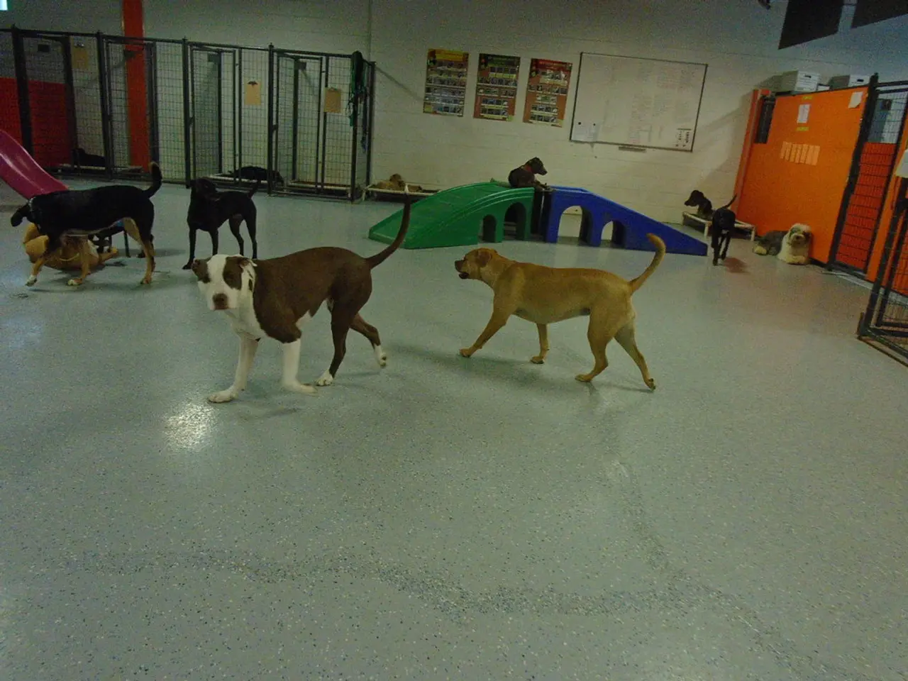 Expanded specialist unit established at Wesel Vocational College, focused on veterinary...