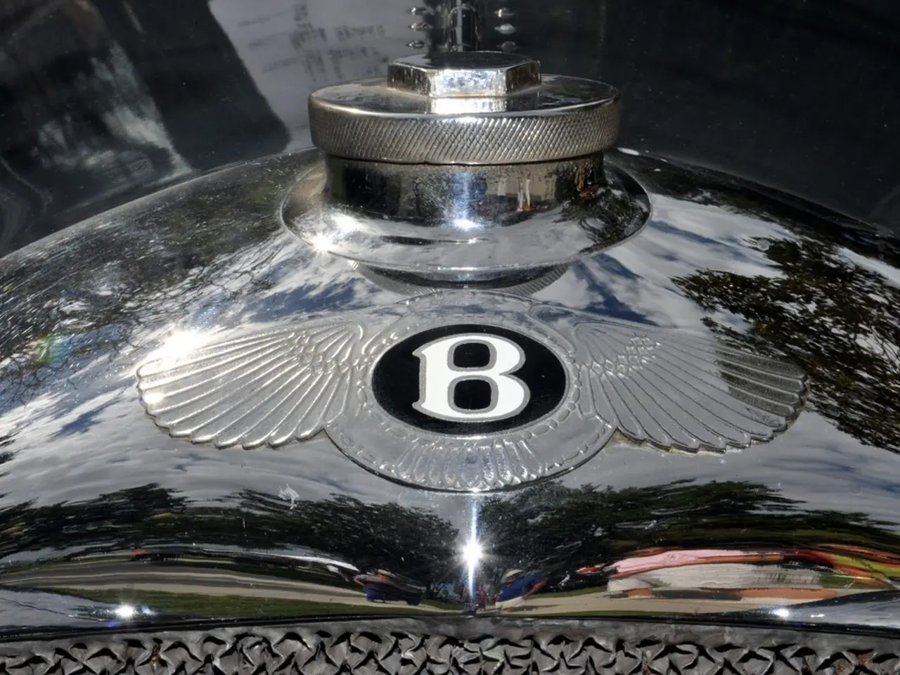 Anemia characterized by small, low red blood cells: Signs, variations, and management strategies