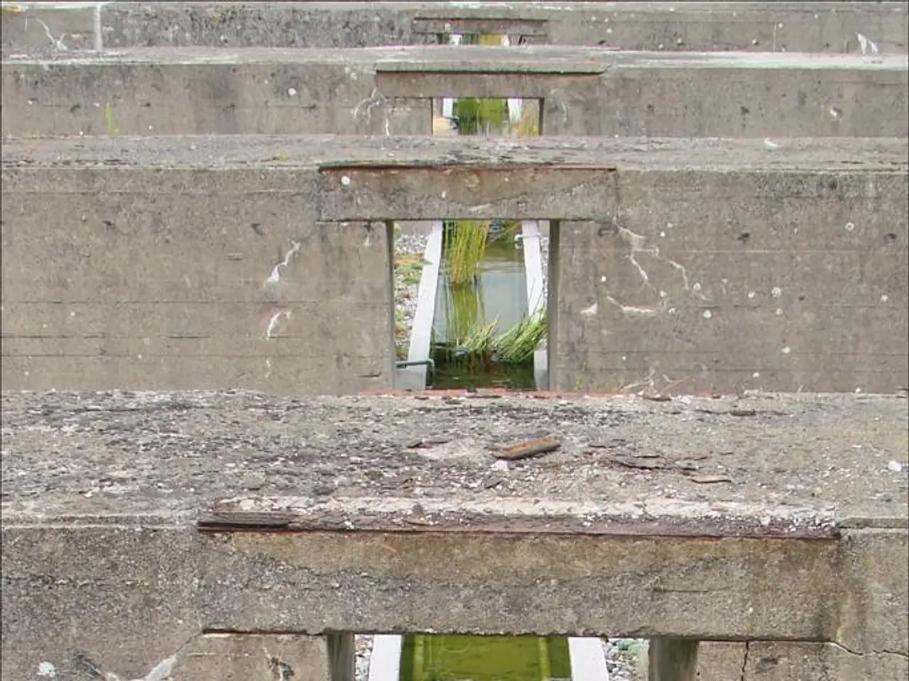 Forward-thinking mining conglomerate Rio Tinto supports innovative small-scale companies to foster...