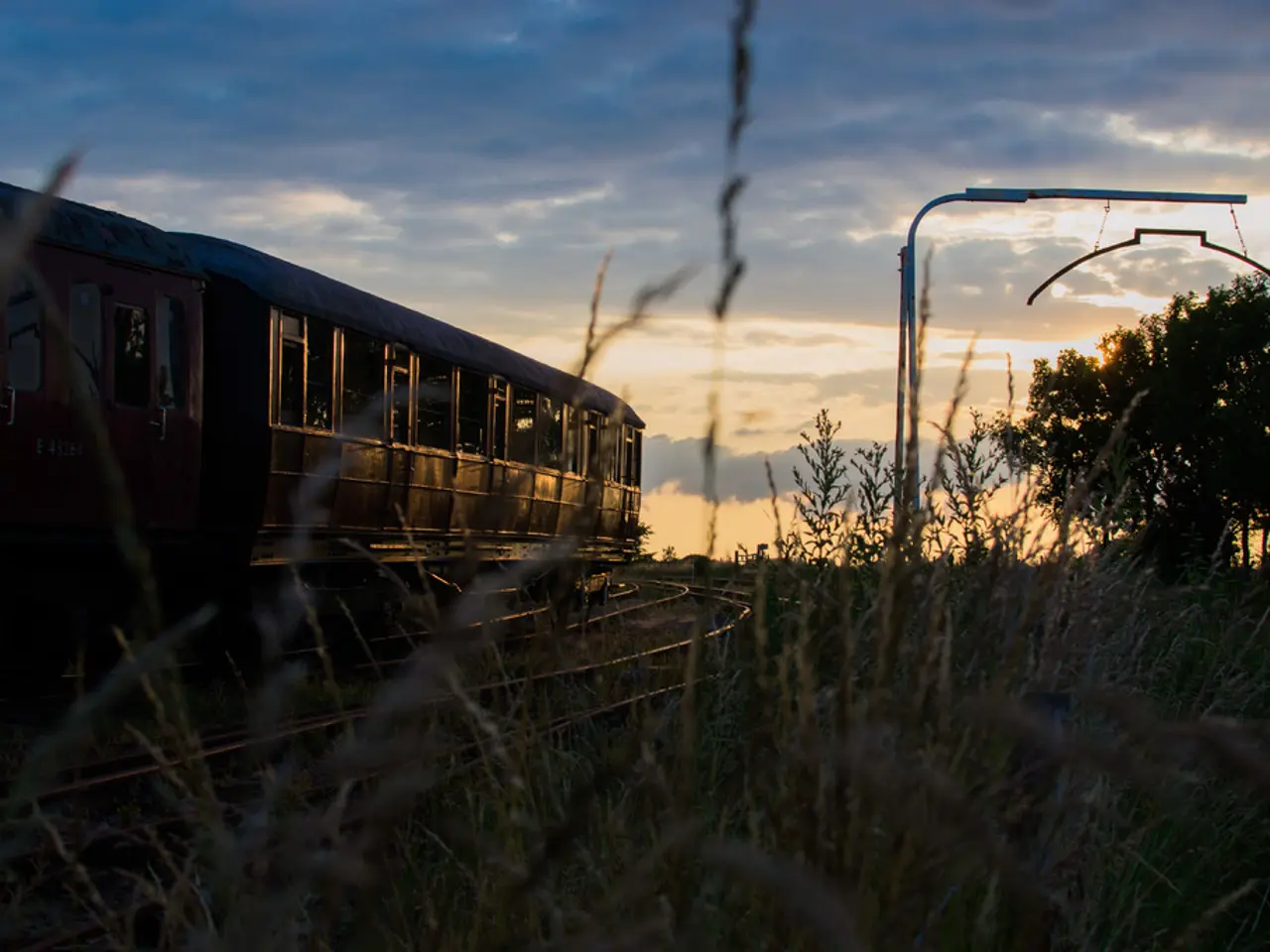 There is a train on the left side of the image and there is a pole and trees on the right side,...