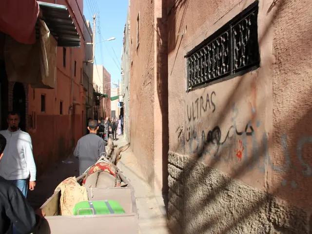 Seminar for Educators: Integrating Māori Insights into NCEA Science Curriculum