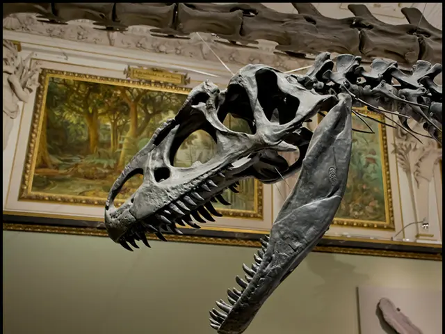 Dinosaur Duels: Two Prehistoric Titans Engaged in Continuous Combat Over 67 Million Years