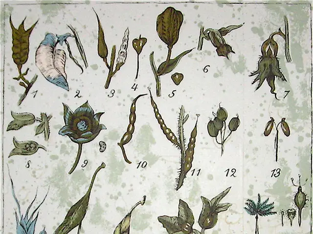 Connected themes and ideas: