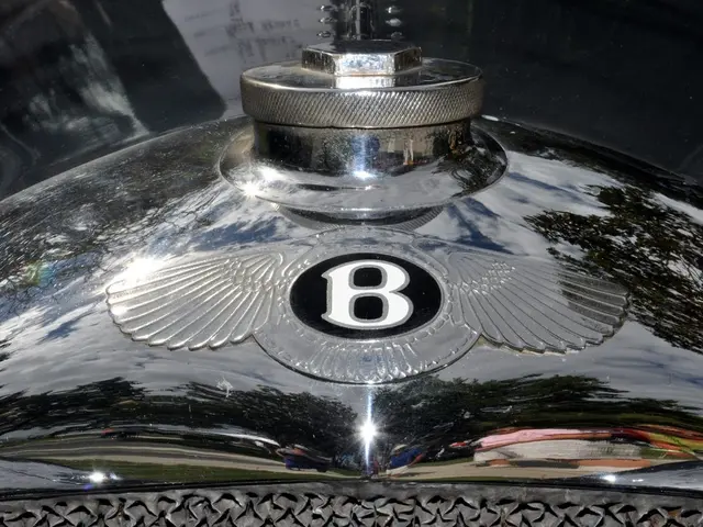 Anemia characterized by small, low red blood cells: Signs, variations, and management strategies