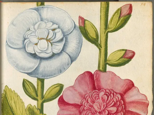 Nurturing creativity and self-expression through the Reggio Emilia methodology