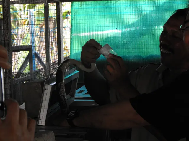 Billionaire Businesses Linked to Bill Gates: Exploring the Varied Assets in His Monetary Empire