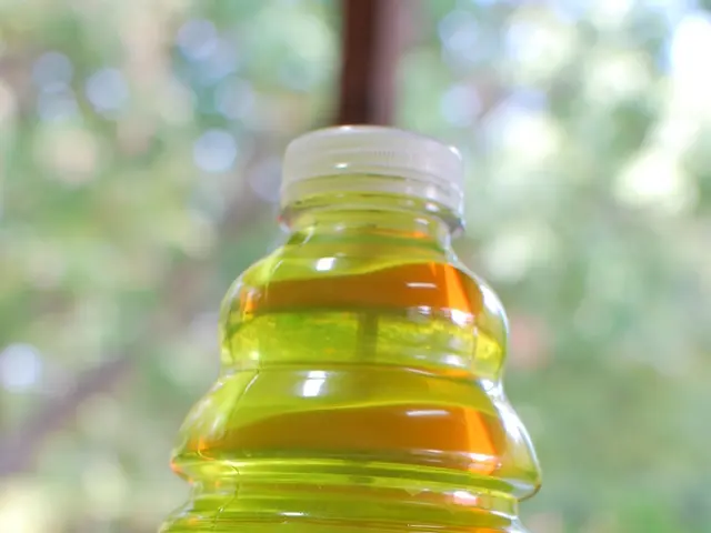 Good Fats to Include: Opt for DHA Among Omega 3 Fats