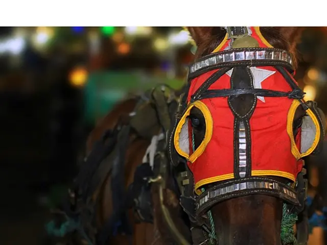 Investigated Crime Scene Residence - Unveiling Discovered Evidence