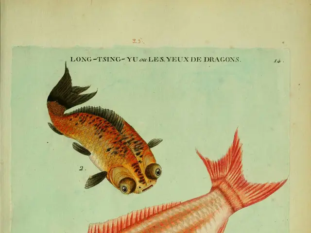 Highlighting the Student in the Limelight: Justin Funa at Scripps College