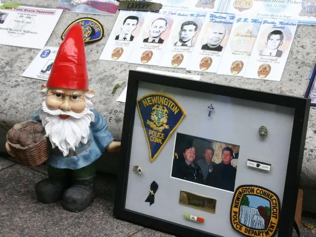 Holiday Celebrations at Notre Dame Cathedral