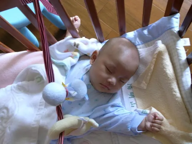 9 Adaptable Morning Routines for Outdoor Learning in Harmony with Nature's Cycles