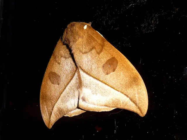 Aviation collaboration: Joanneum Aeronautics takes off