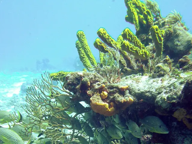 Depth Measurements of the Ocean: Progress Over the Last 10 Years, Ongoing Struggles, and Vision for...