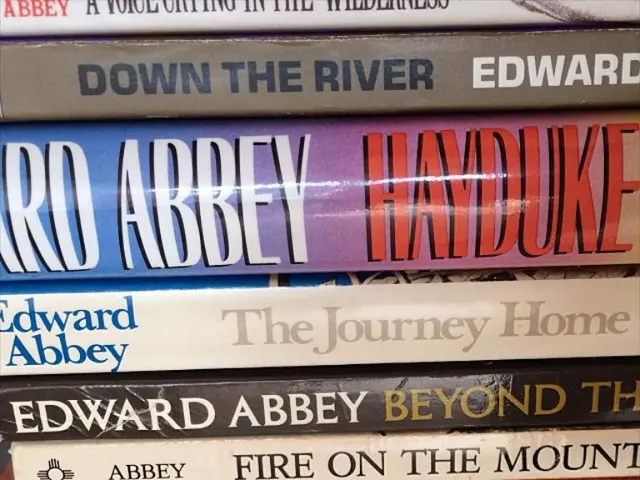 Digital Books' Advantages and Prospects for Academia