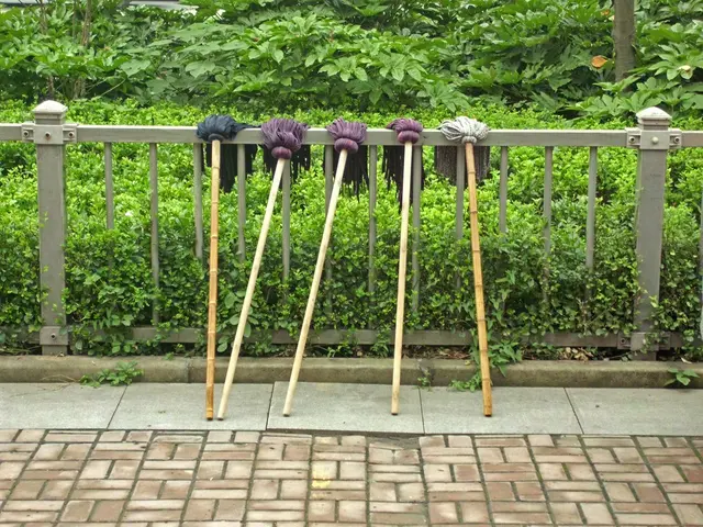 RMPSSU Results for 2025 Now Available at rmpssu.ac.in; Download Undergraduate and Postgraduate...