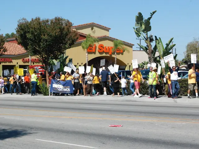 Contemplations Regarding Our Democratic System