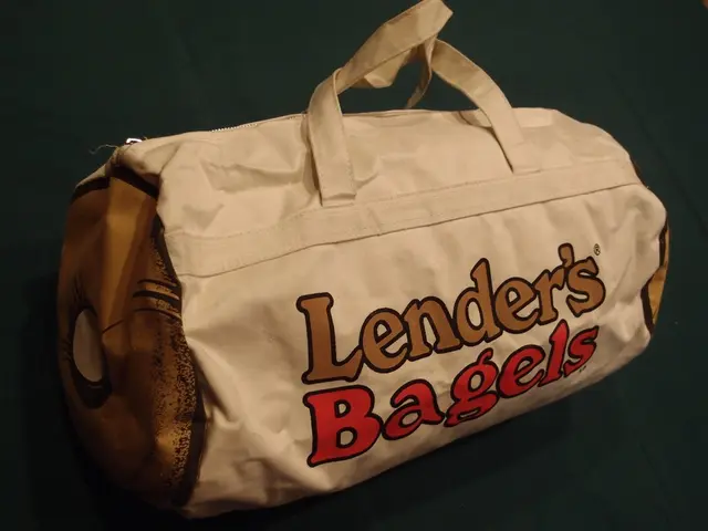 Evaluations and Assessments of Net Pay Advance Services