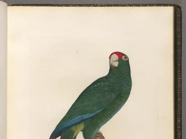 Financial Mogul Warren Buffett's Ten Guidelines for Accumulating Wealth, Often Overlooked by the...