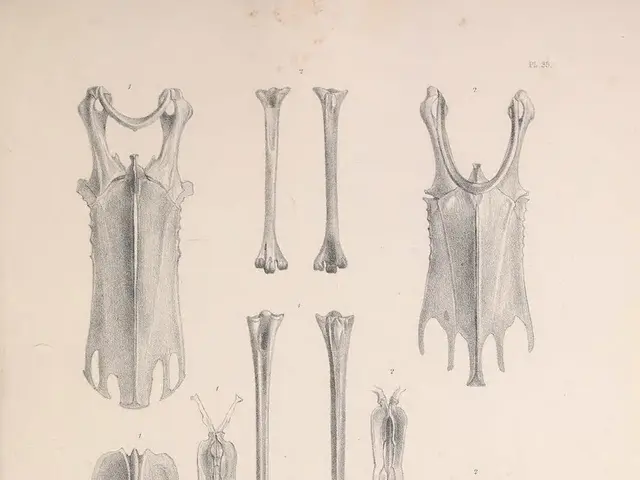 University of Keele initiates virtual reality cadaver training