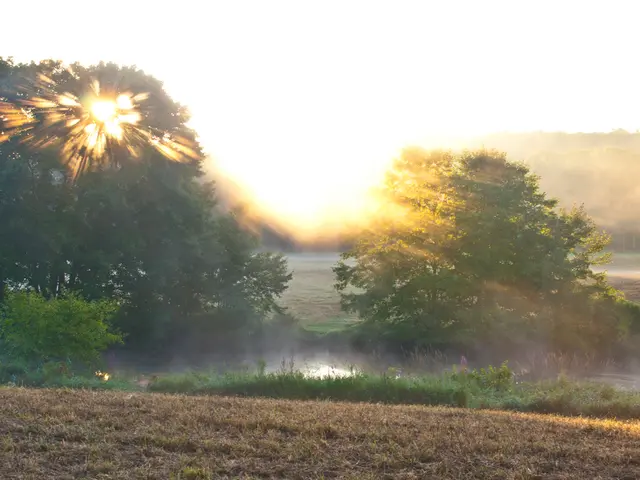 Fungi, Carbon Emissions, and the Overlooked Climate Change Risk Map