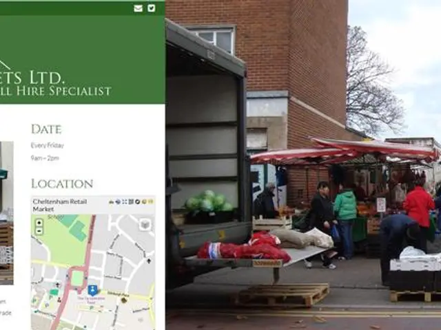 Survival Strategies of the Human Species in Light of the Influence Bias (Halos)