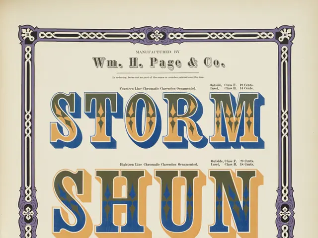 Unveiling of Dewey: A Reveal of The Dewey Subject