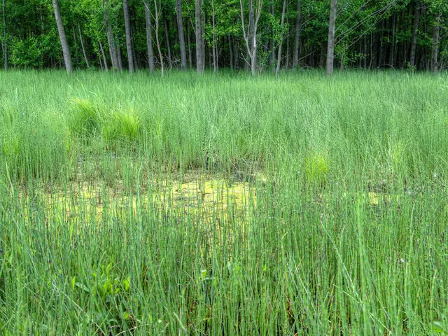 Emotional honesty in farming, spanning from Stoicism to psychedelics, may prove to be the sector's...