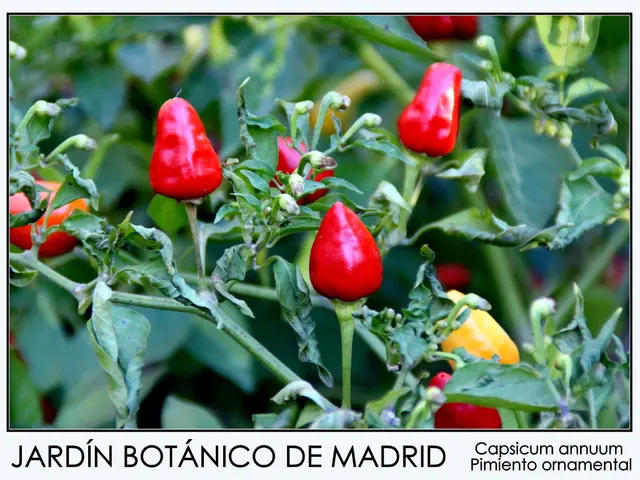 Red Phosphorus Market Projected to Achieve a Value of $1069 Million by 2034