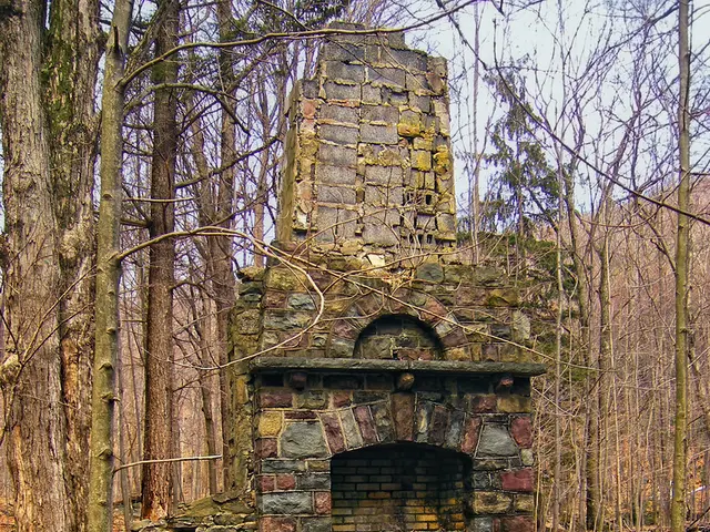 Contemplating the disposal of the brick?