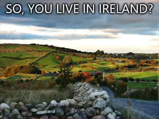 Global Wildfire Risk Collaboration between Willis and UEA Unveiled