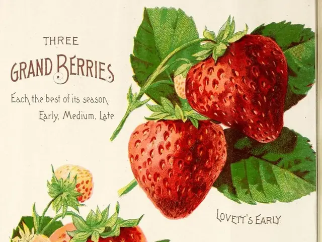 Delving into its Widespread Usage and Ease of Availability: A Digital Copy of The Catcher in The...