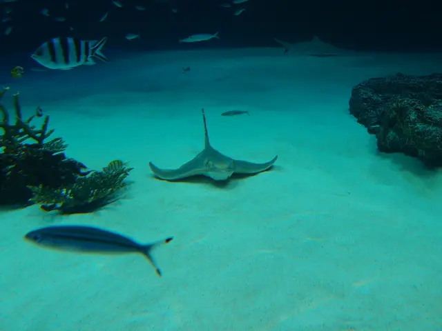 RMIT's environmental science adopts a nature-inspired approach