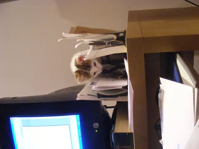 Programme enrollment cap set at the specified limit