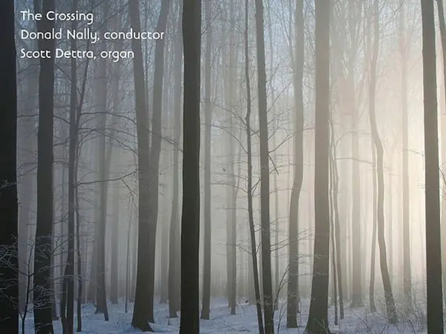 Enhancing Memory Through the Connection of Indigenous Languages and Nature: 7 Strategies Revealed