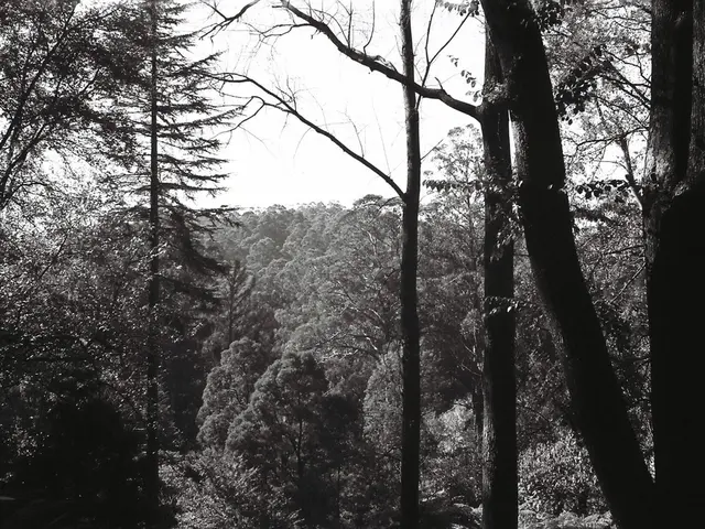 Disseminating scientific knowledge via poetic expression