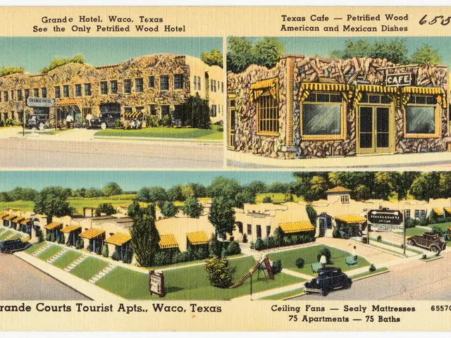 The Ascendancy of Organized Data and Its Influence on Search Engine Optimization