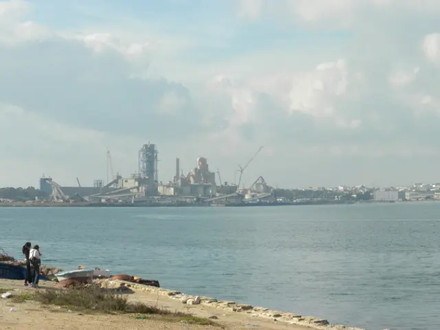 Which field suits you better: academia or industry?