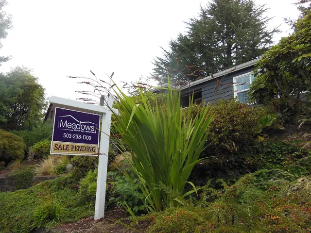 Organization seeks Development Intern for Fall 2025 period