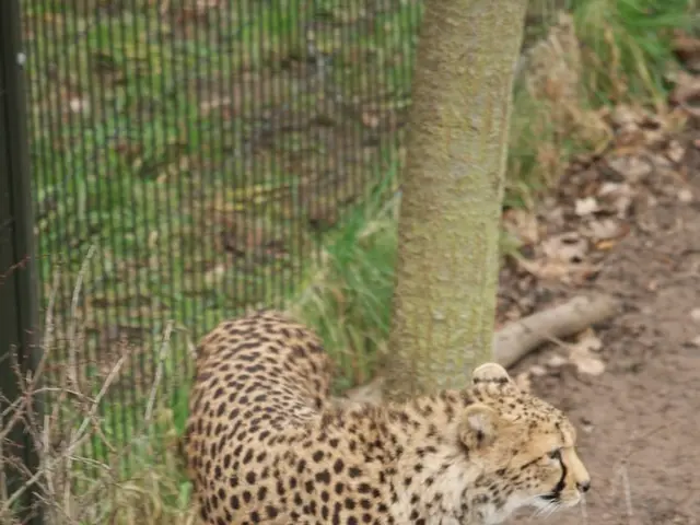 Environmental Aid Program in India (GAP)