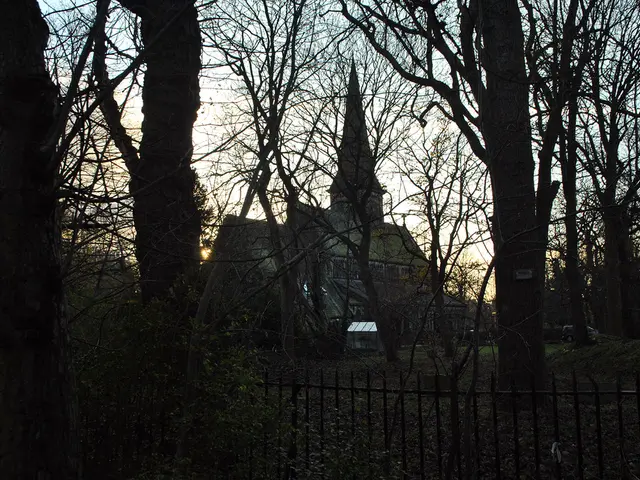 Simplification techniques, guidance on decluttering, and ordinary strategies for reducing...