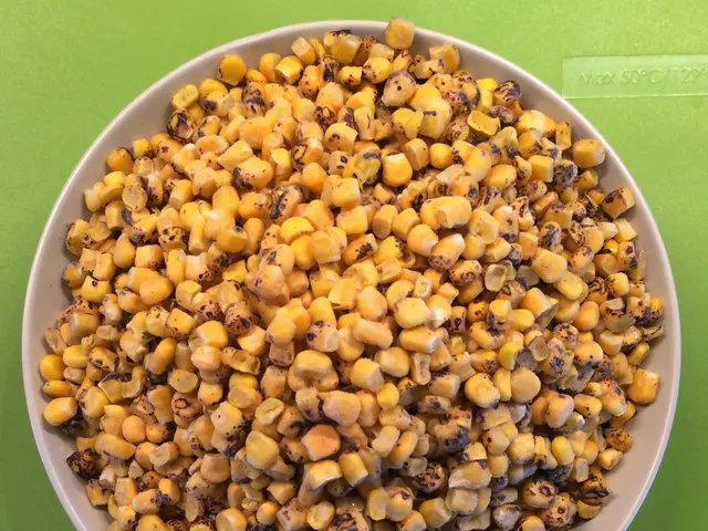 Genetic Links to Celiac Disease: Examination and Additional Insights