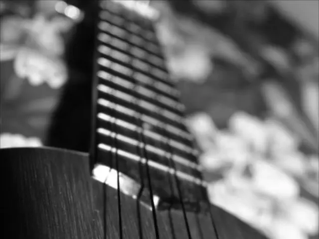 Discovering the Enigmas of Helmholtz Resonance: Delving into the Mysteries of Sound Vibrations