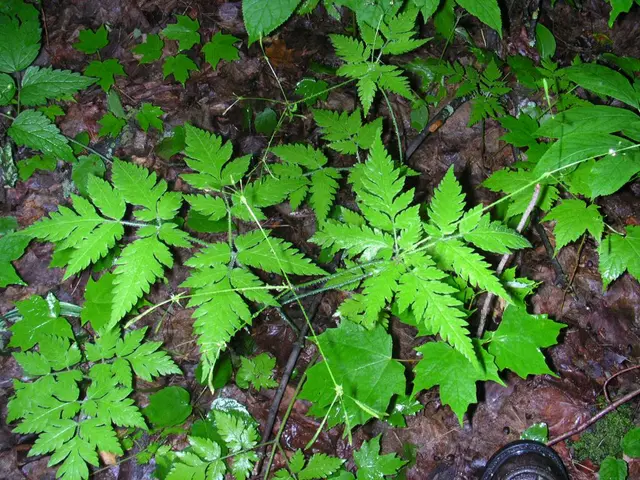 Media plays a central role in Vietnam's environmental strategy