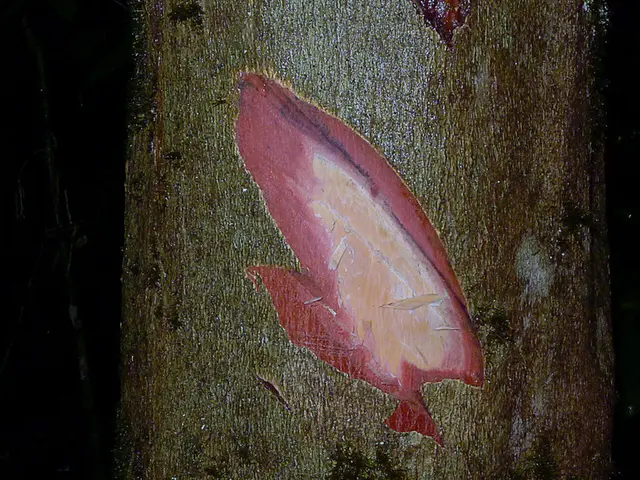 Annual Science and Technology Expo, STEMFest 2025, to Unveil Groundbreaking Innovations and...