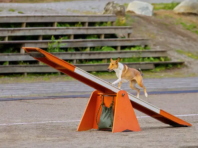 discovered a massive iron ore deposit valued at $6 trillion, poised to shake up global economies