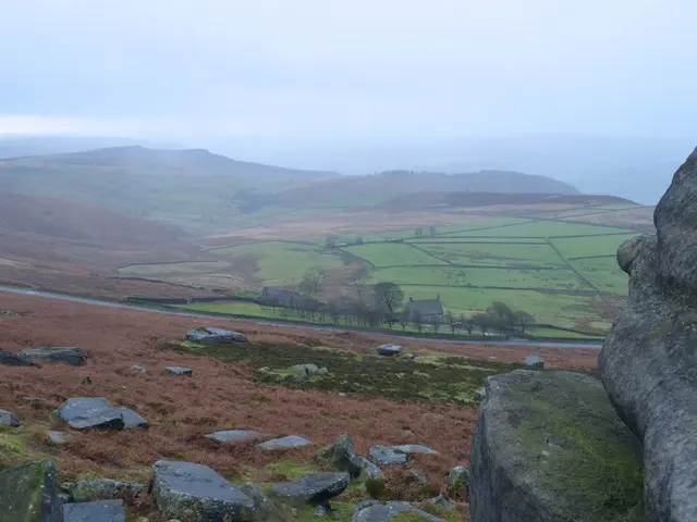 Project Report and Proposal for MGYP-031 IGNOU course, meticulously crafted without any trace of...