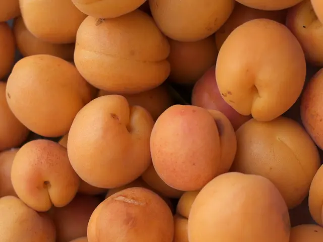 Dream Interpretation: Undefining the Hue of Orange