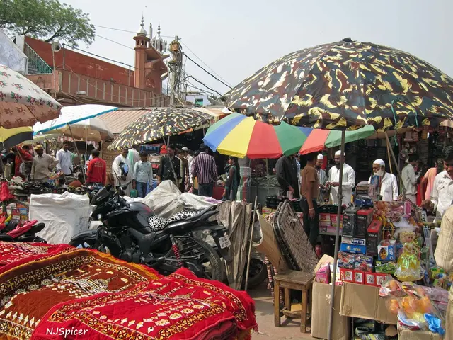 Largest Student Population in Vienna Schools Comes from the Muslim Community