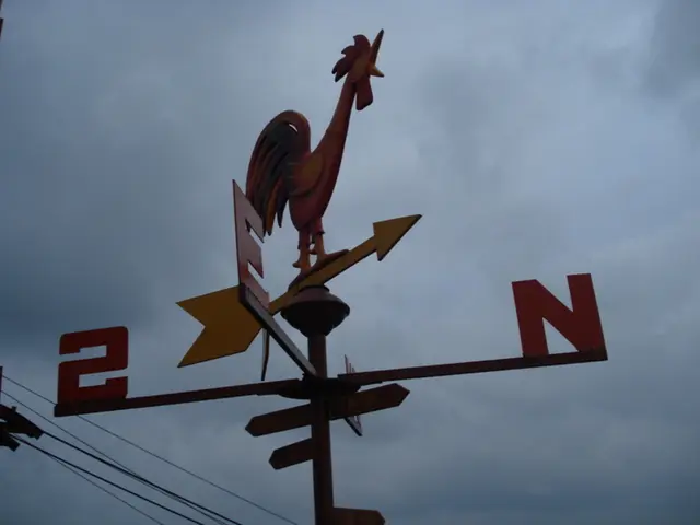 Exploring the Multi-Colored Force Fields: Unveiling the Mysteries of Pull and Push Forces...